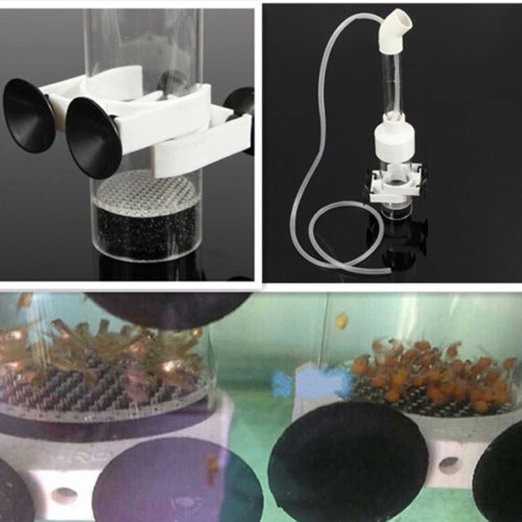 Aquarium Cichlid Tumbler Fish Eggs Hatchery Incubator Incubator Fish