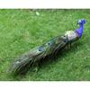Lifelike Artificial Peacock Bird Ornament Multicolor Feather Statue for Wedding Birthday Party and Garden Decor