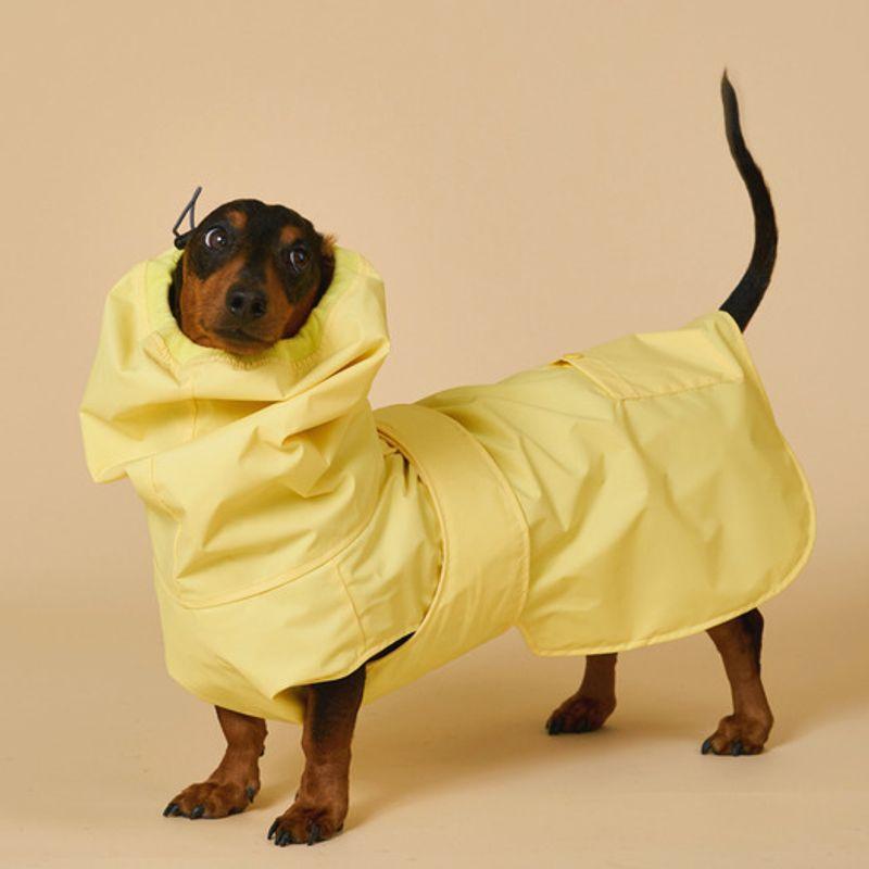 ANGEL DOG Premium Trench Puppy Raincoat Yellow