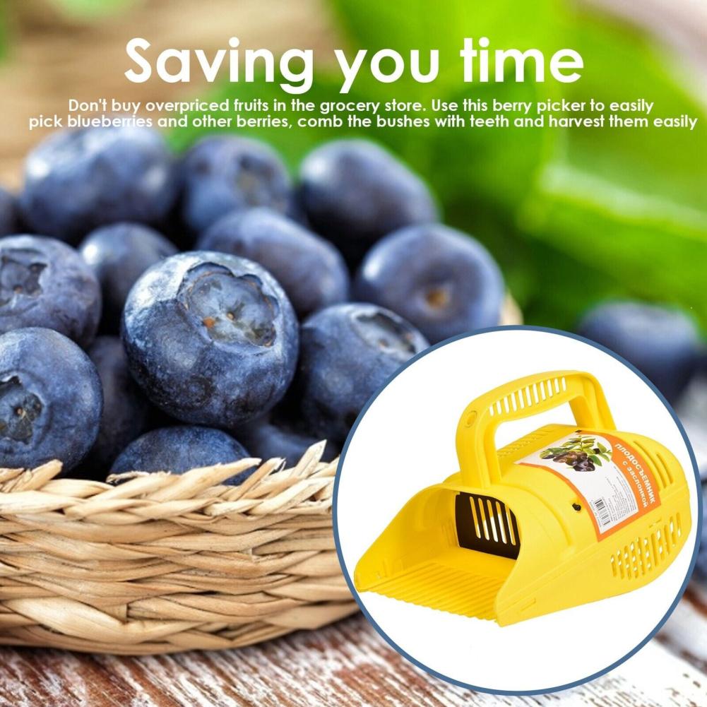Colhedor de mirtilos multifuncional portátil com ancinho de mirtilo em formato de pente, ferramenta manual de jardinagem para colheita