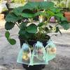 50/100Pcs Grapes Fruit Protection Bags Pest Control Anti-Bird Garden Netting Bags Mesh Agricultural Tree Garden Tool Bags