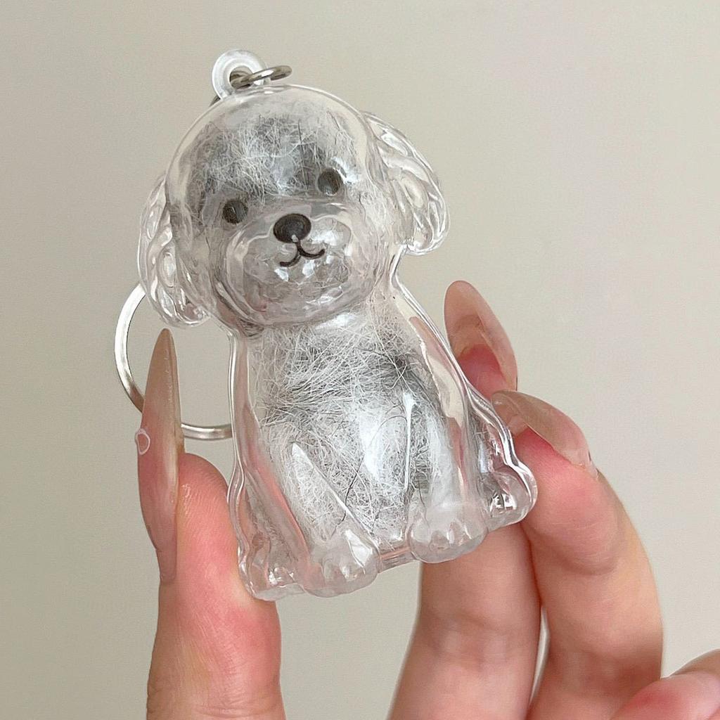 Transparent Pet Memorial Keychain Pet Hair Bottle For Preserving Dog Hair And Ashes In A Leakproof Keepsake Capsule