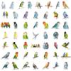 50PCS Cute Parrot Decorative Stickers DIY Phone Cases, Laptops, Water Bottles, Computers, Skateboarding Stickers
