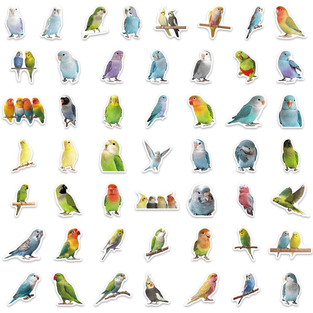 50PCS Cute Parrot Decorative Stickers DIY Phone Cases, Laptops, Water Bottles, Computers, Skateboarding Stickers