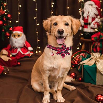Christmas Dog Collar with Bow Tie, Classic Plaid Red Green Dog Collars with Removable Bowtie Christmas Collars for Large Dogs