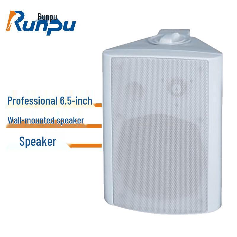 Runpu Professional Wall-Mounted Speakers