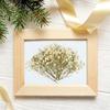 Gipskruid Gedroogde Bloemen Boeket Vaas Envelop Doe-het-zelf Bloemenarrangement Bruiloft Feest Artistiek Valentijnsdag Cadeaus
