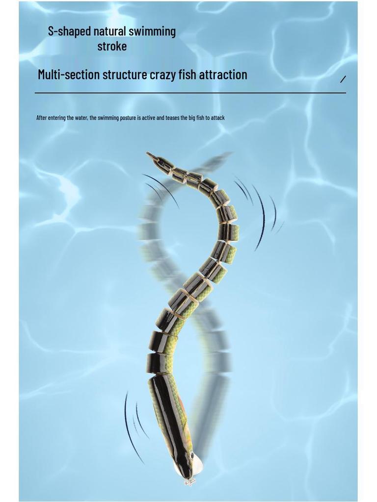 Aspius Long-Cast Marine Fishing Simulation Bait - Large, Slow-Sinking, Fake Lure for Sea Fishing