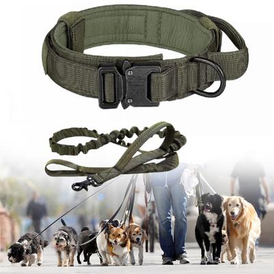 Perros – Collares y correas