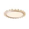 Modern Smart Bedroom Ceiling Light, Full Spectrum Eye-Care, Luxury Design
