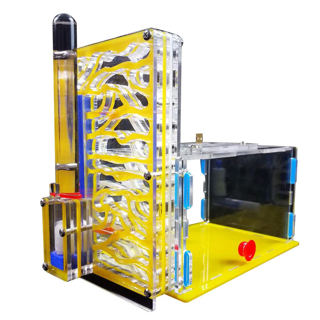 DIY T Design Futterbereich Acryl Farm Insektenvilla Mania Haus Ameisennest Geburtstagsgeschenk