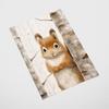Poster for a Child Squirrel