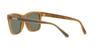 Sunglasses HC8359U CD455 52513H MILKY AMBER 56 [Coach]