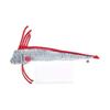 Calorata Oarfish Plush Toy (61 x 10 x 21 cm), Soft to the Touch, Realistic (Fish Plush Toy), Doll, MascotBirthday Gift (Twice Measured), Deep-Sea