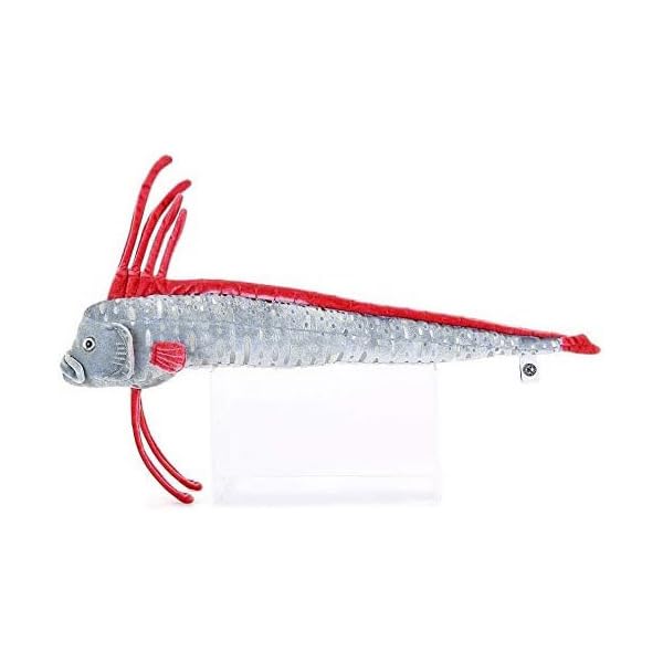 Calorata Oarfish Plush Toy (61 x 10 x 21 cm), Soft to the Touch, Realistic (Fish Plush Toy), Doll, MascotBirthday Gift (Twice Measured), Deep-Sea