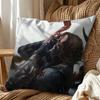 Bucky Barnes Winter Soldier  Double-Sided Printed Cushion Cover Bedroom Bedside Sofa Pillow Case
