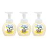 Pure Foaming Hand Soap 250ml Container 3-Pack