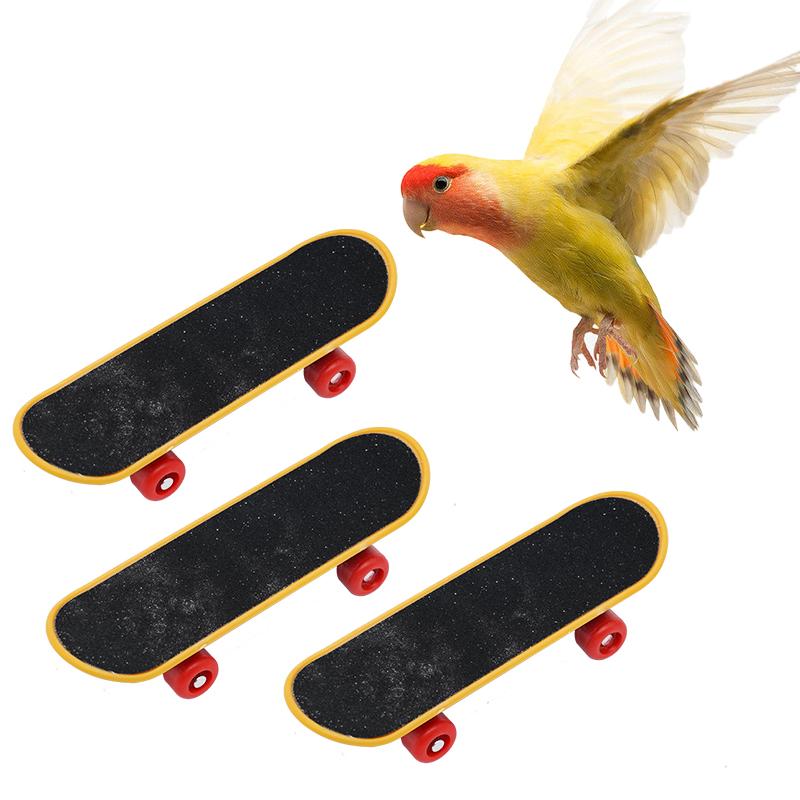 Bird Toys Funny Parrot Mini Skateboard Toy Birds Training Skateboard For Budgies Parakeet Growth Toy Pet Toy Bird Accessories
