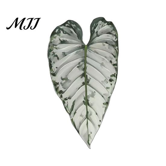 Plant Home Decor 3D Tropical Plants Refrigerator Magnet, Acrylic Green Decorative Fridge Metal Surface Magnet Memo Notes Photo Holder for Kitchen