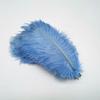 10Pcs Natural Dyed Fluffy Soft Ostrich Feather Handmade Diy Embroidery Feather Jewelry Making Dress Wedding Dress