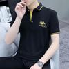 2026 Men's Short Sleeve Polo T-Shirt, New Style Lapel Casual Top
