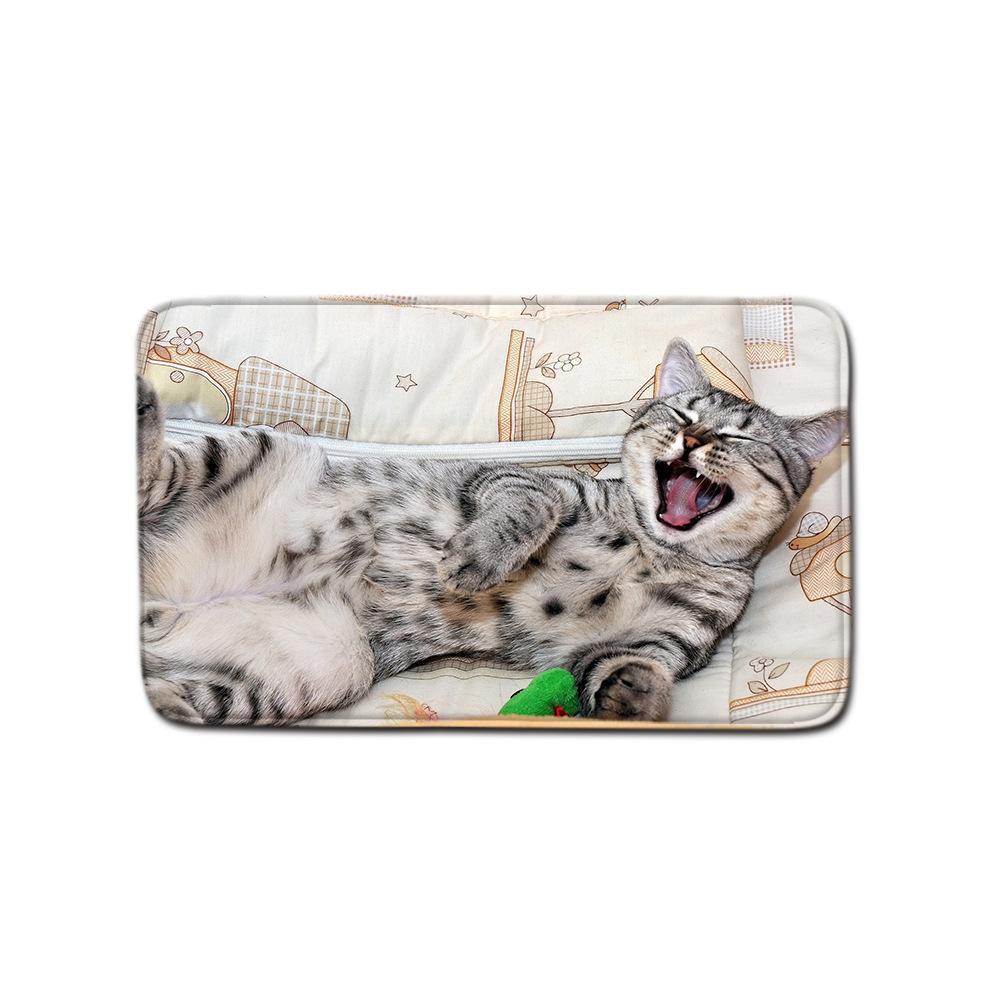

Animal Household Door Mat Bathroom Kitchen Non-Slip Floor Mat Bedroom Living Room Absorbent Carpet 40*60cm