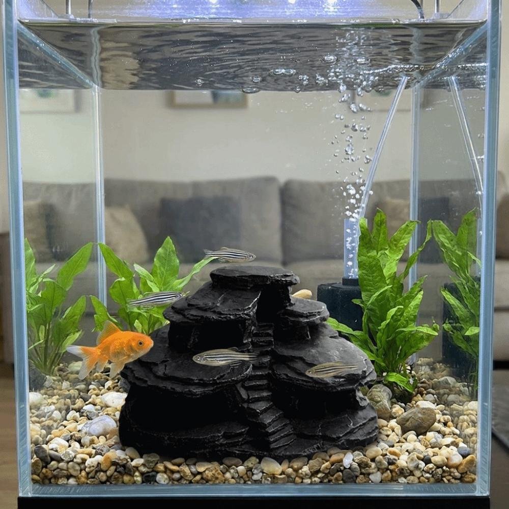 Plastic Aquarium Fish Shelter 3D Printing Fish Hiding Cave  Reptile Shelter