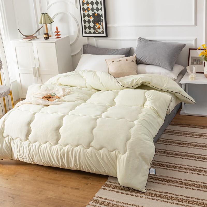Caiyang Velvet Silk Floss Duvet