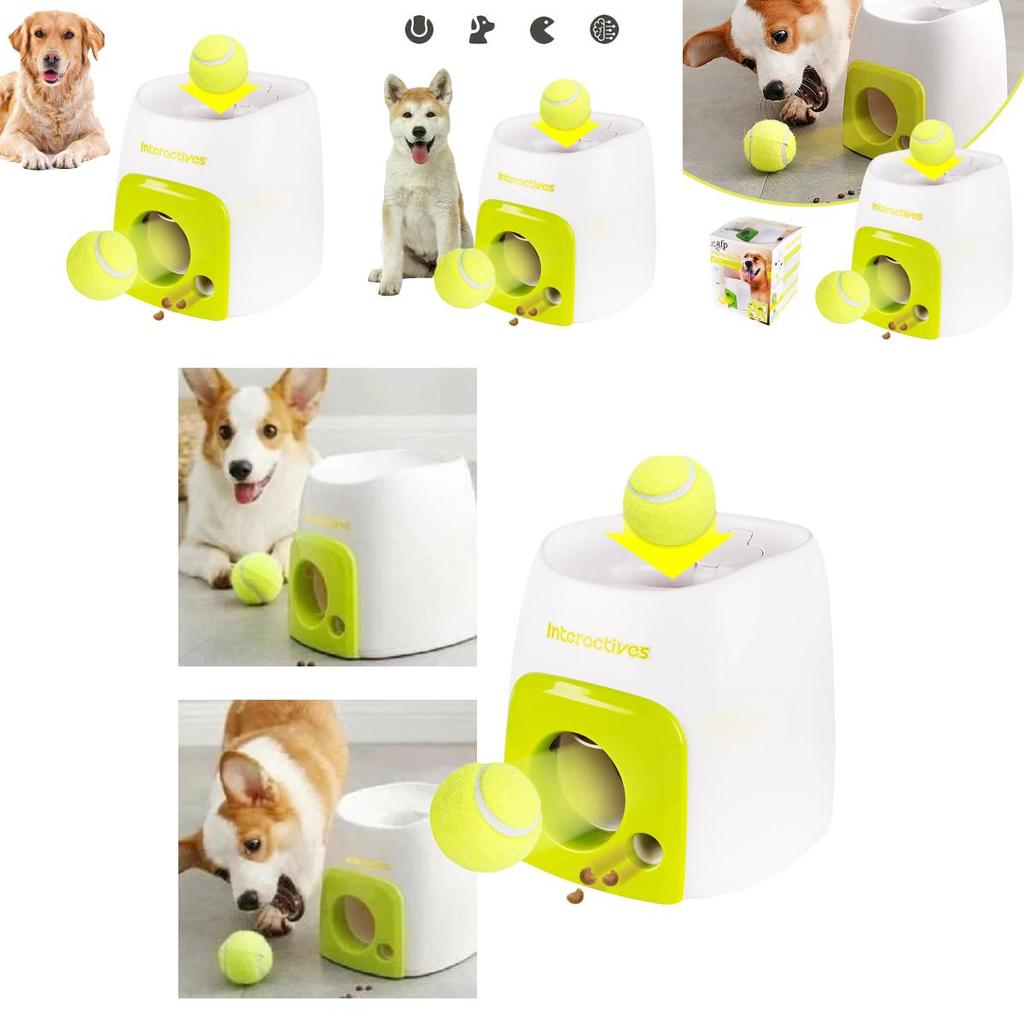 Educational Tennis Ball Hyper Game Training Machine For Active Dogs