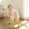 Leak-Proof Dog Physiological Pants Elastic Waist Dog Sanitary Panties  Pet Incontinence