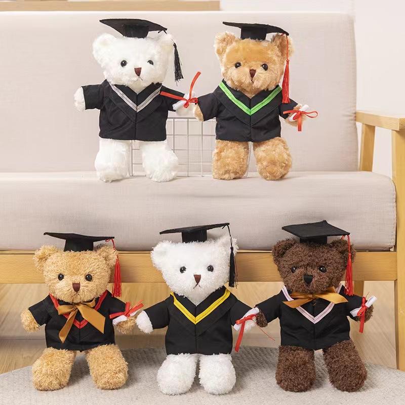 Kindergarten Graduation Gift High School Primary School Bear Doll Plush Toy Commemorative Gift Dr. Bear