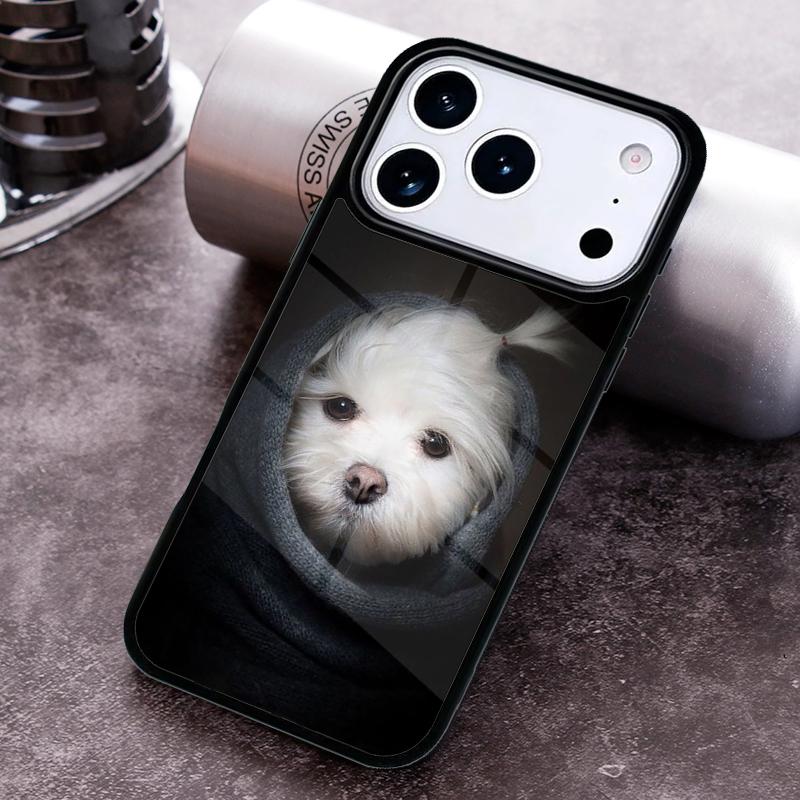 Cartoon Maltese Dog Phone Case For iPhone 17 16 15 14 13 12 11 Pro Max Plus 17Air Soft Silicone Cover