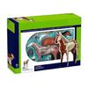 Horse Anatomy Model with Detachable Organs Body Parts for Child