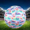 Peppa Pig Print Size 5 Soccer Ball, PU Wear Resistant Football for Match Training and Daily Practice, Birthday Gift for Soccer Fans