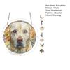 Acrylic Puzzle Suncatcher, Stained Glass Window Hanging Ornament with Double-side UV Printed Design, Colorful DIY Jigsaw Puzzle Suncatcher