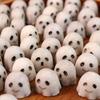 20 Pcs Halloween Miniature Ghost Figurine Cute Tiny Resin White Ghost Statue for Garden Bonsai Sand Table Decoration