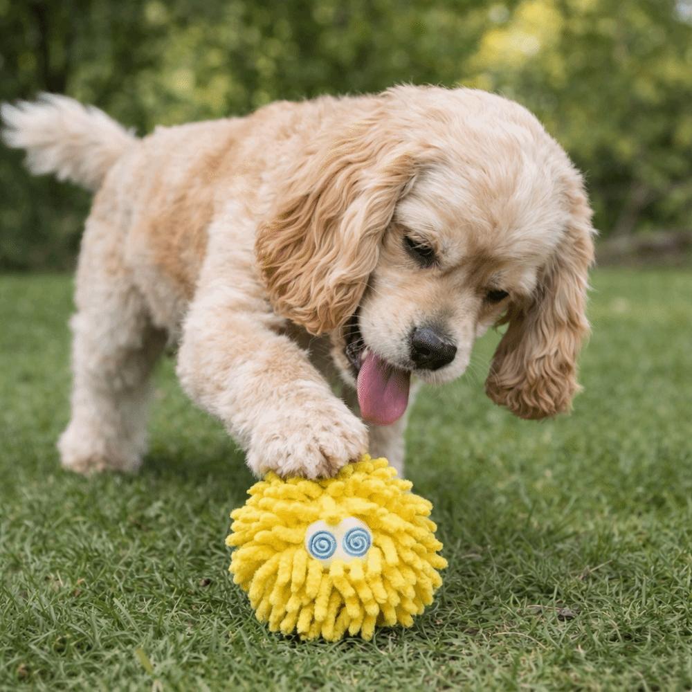 Bite-Resistant Pet Mop Ball Toys Glowing Pet Interactive Toys Teeth Grinding Toys Indoor Play