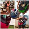 [Portable Pet Backpack] Portable Pet Backpack for Cats and Puppies | Small Size, Adjustable Shoulder Straps, Zippers & Ventilation Holes