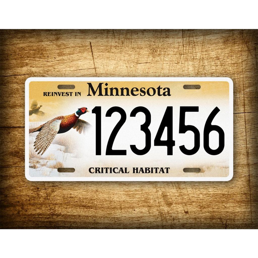 Custom 6x12 Inch Metal Sign License Plate Personalized Text Tin Art Decor for Car Garage Bar Man Cave