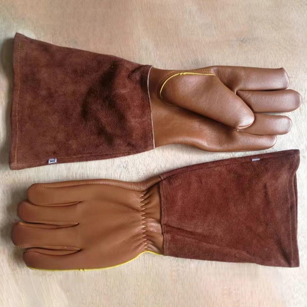 Coffee Gardening Gloves Long Sleeve Gardening Mitts Worker Pruning Gloves  Horticulturist