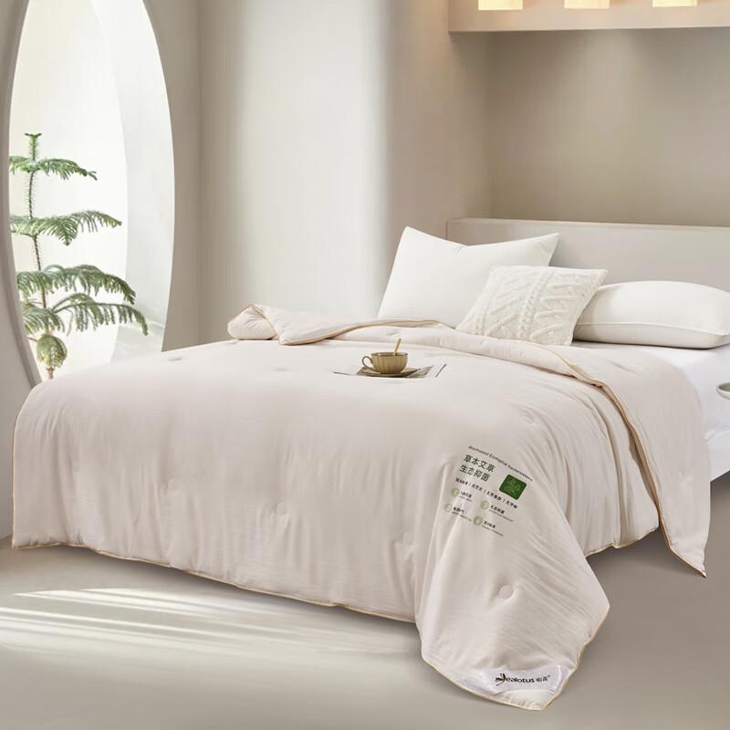 

Yilian Mugwort Antibacterial Spring/Autumn Quilt