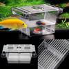 Aquarium Hatchery Trap Fish Breeding Plastic Box Tank Fry Floating Breeder Isolation Box