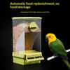 Mangiatoia Automatica Trasparente Mangiatoia Automatica per Semi di Uccelli Scatola Alimentare Sospesa e Mangiatoia Accessori Gabbia per Pappagalli Forniture per Uccelli