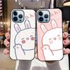 Cartoon Cute Bear Phone Case For Iphone 14 13 11 12 Pro Max Mini Xs Xr X 7 8 6s Plus Se 2022 Tempered Glass Protection Shell
