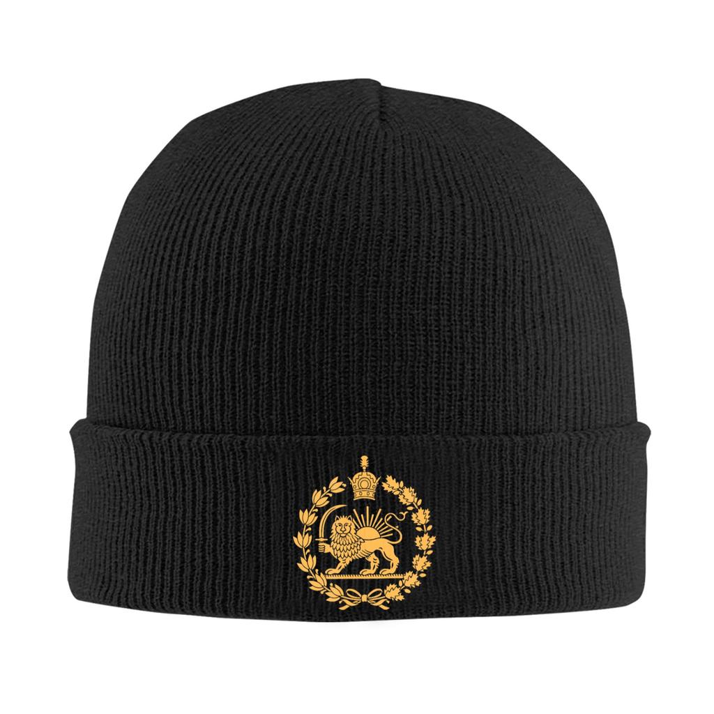 Lion and Sun of Flag Emblem Knitted Caps Women's Men's Beanie Autumn Winter Hats Acrylic  Warm Caps