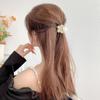 Headwear MIni Hairpin Girls Hairpin Small Hair Claw High Ponytail Fixed Clip Korean Style Hair Clip