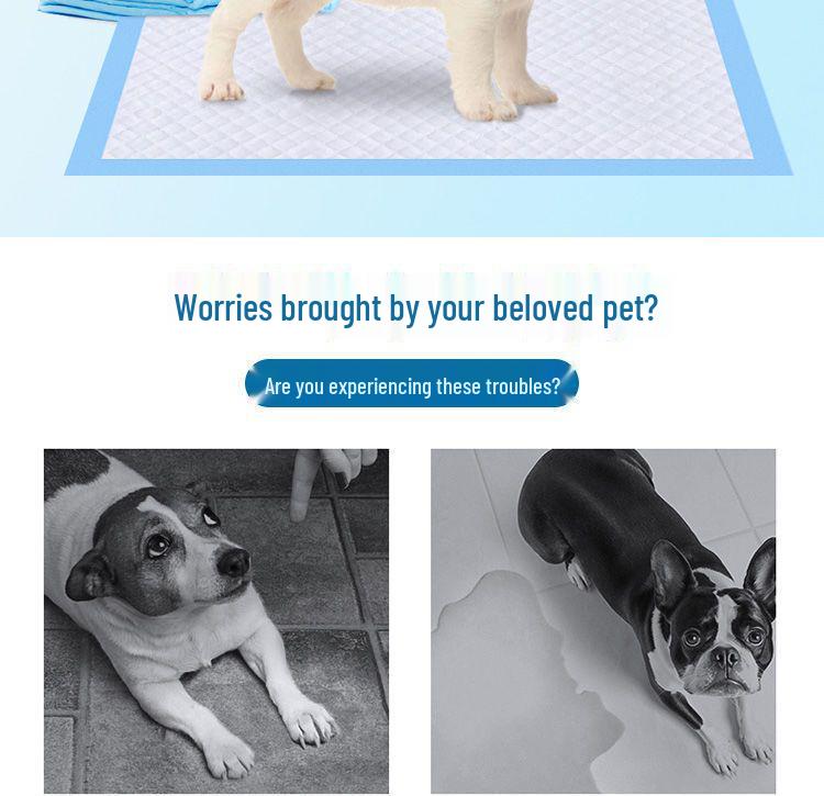Absorbent Dog Training Pads - Thickened, Deodorizing Pet Urine Pads, Teddy Diapers for Dogs.
