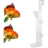 Acryl Garnelen Futterröhrchen, Garnelen Futterspender Transparente Glas Garnelen Futter Schale Tablett mit Saugnäpfen für Fischglas Aquarium Crystal Garnelen Krabben