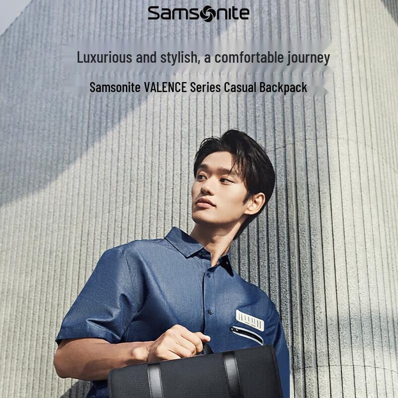 Samsonite Men s Business Laptop Backpack 96Q*09031