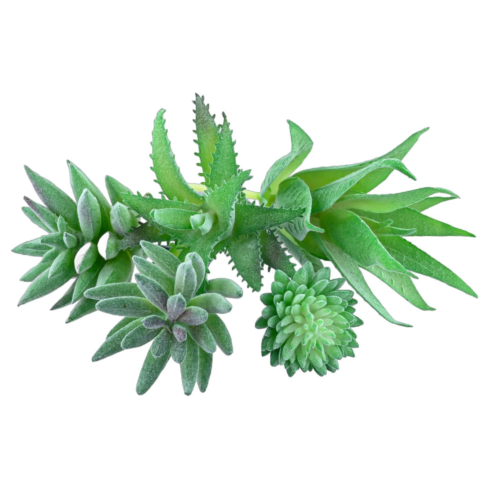 Artificial Succulents Plant Artificial Plant Vibrantly Colored Plastic Plants For Exhibition And Cafe Decoration 5pcs